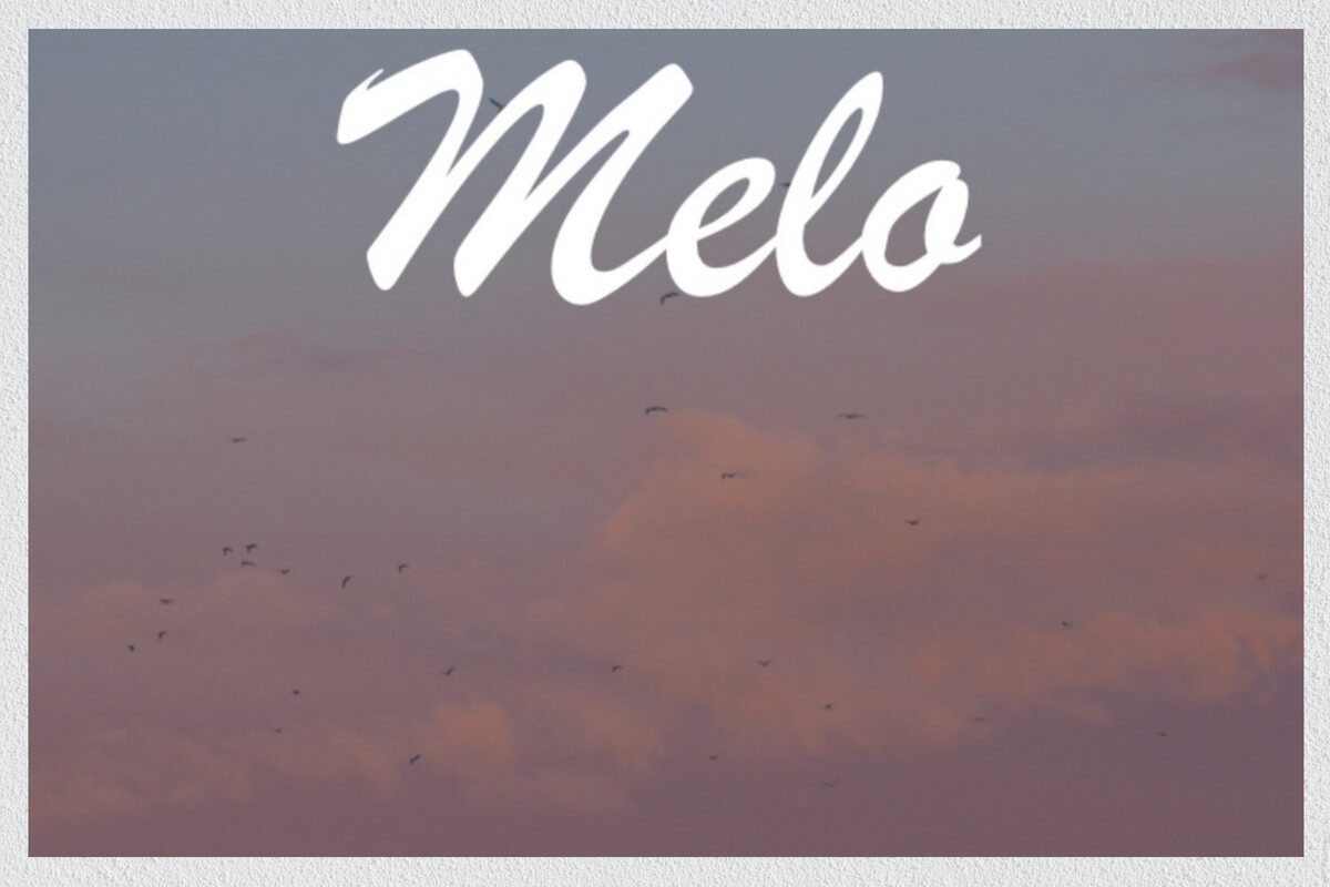 melo交友軟體 線上視頻聊天評價